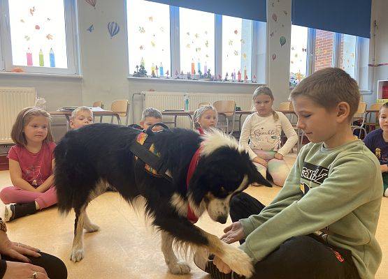 Grafika 30: Dogoterapia - zajęcia terapeutyczne z psem