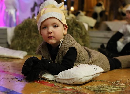 Grafika 20: Jasełka szkolne