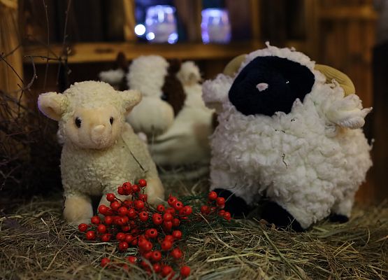 Grafika 70: Jasełka szkolne