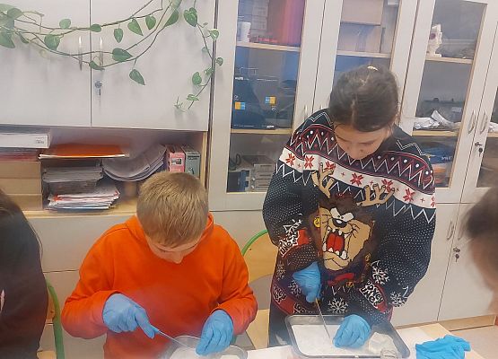 Grafika 5: Kółko przyrodnicze w ramach projektu "Gmina Wicko stawia na edukację"