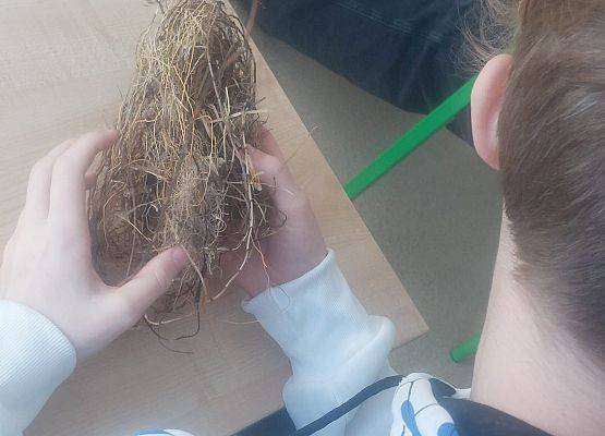 Grafika 5: Warsztaty przyrodnicze ,,Bałtyk"