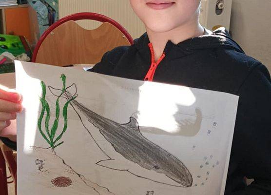 Grafika 1: Warsztaty przyrodnicze ,,Bałtyk"