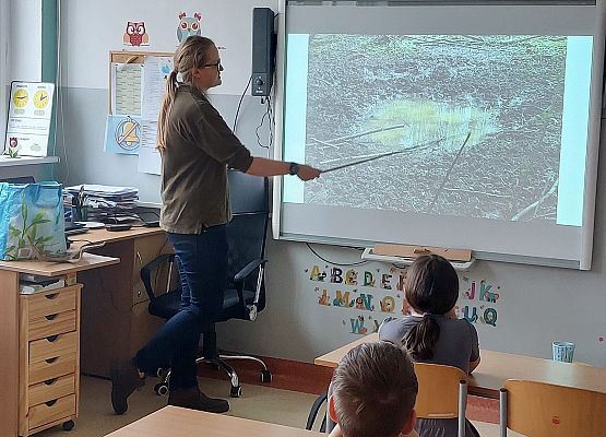 Grafika 11: Warsztaty