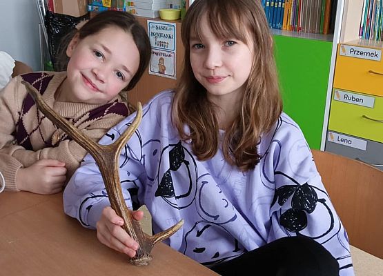 Grafika 6: Warsztaty