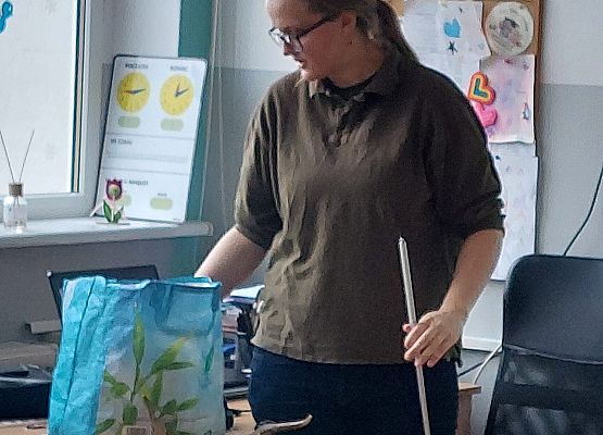 Grafika 10: Warsztaty