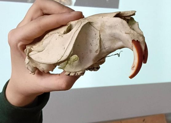 Grafika 3: Warsztaty