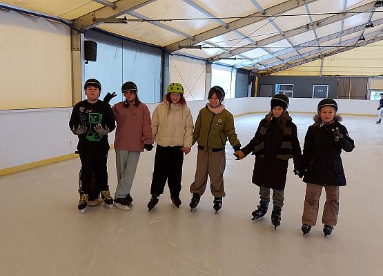 Grafika 1: Wyjazd kl. 5 na lodowisko