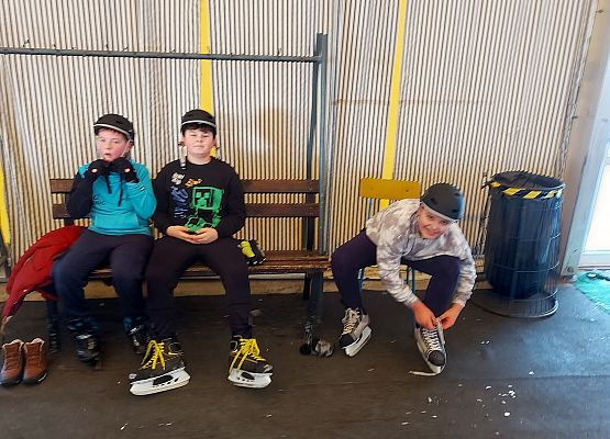 Grafika 12: Wyjazd kl. 5 na lodowisko