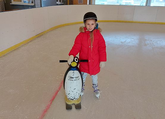 Grafika 13: Wyjazd kl. 5 na lodowisko