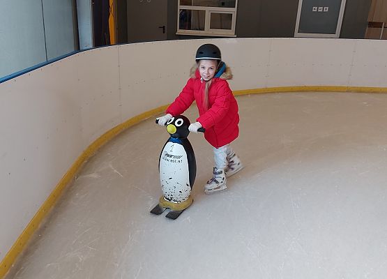 Grafika 15: Wyjazd kl. 5 na lodowisko