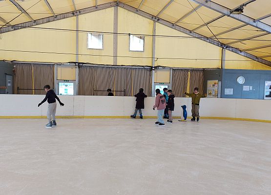 Grafika 16: Wyjazd kl. 5 na lodowisko