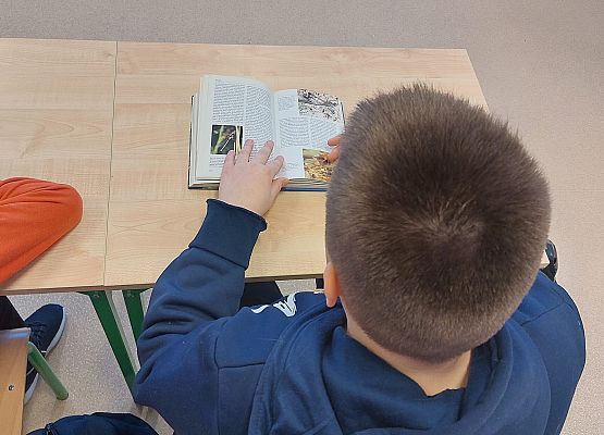 Grafika 6: Warsztaty przyrodnicze