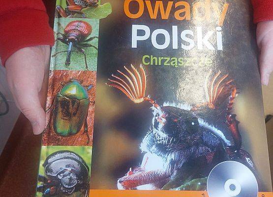 Grafika 4: Warsztaty przyrodnicze ze SPN "Owady i spółka"