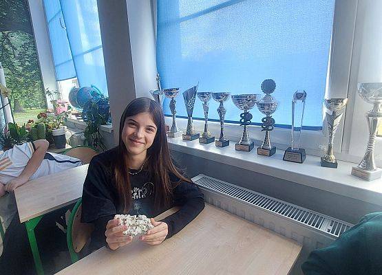 Grafika 2: Warsztaty przyrodnicze ze SPN "Owady i spółka"