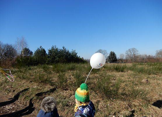 Grafika 7: Witamy wiosnę