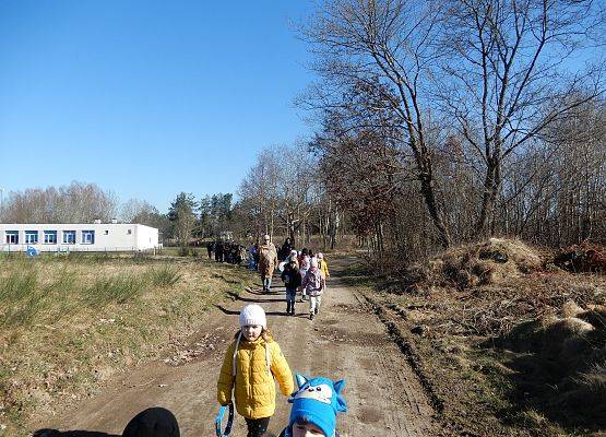 Grafika 9: Witamy wiosnę