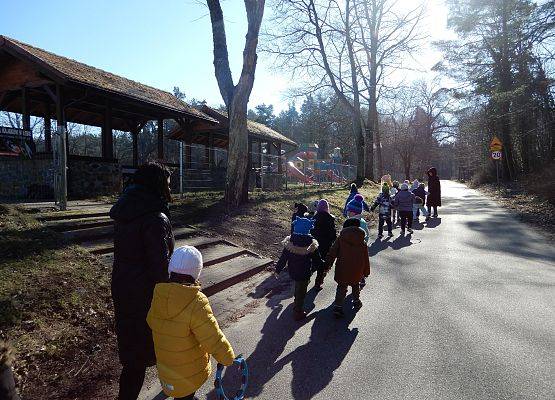 Grafika 13: Witamy wiosnę