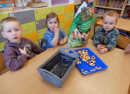 Grafika 2: Sadzimy cebulę w przedszkolu