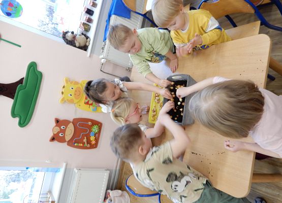 Grafika 10: Sadzimy cebulę w przedszkolu