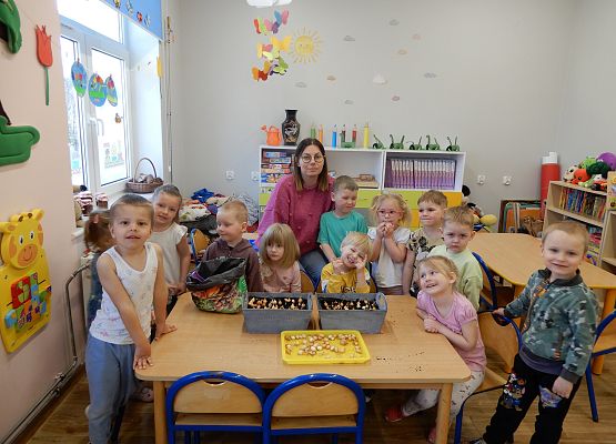 Grafika 14: Sadzimy cebulę w przedszkolu