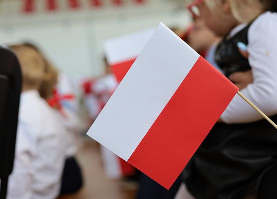 Grafika 7: Pierwsza rocznica nadania imienia  - Dzień Patrona