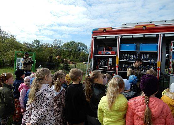 Grafika 1: Wizyta strażaków