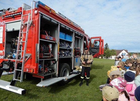 Grafika 5: Wizyta strażaków