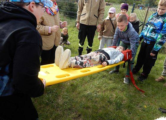 Grafika 11: Wizyta strażaków