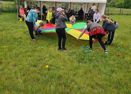 Grafika 11: Festyn rodzinny