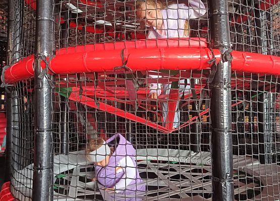 Grafika 18: Wycieczka do Łeba Parku - przedszkolaki