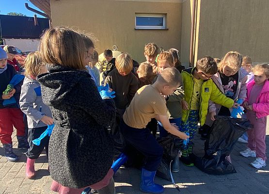 Grafika 1: Sprzątanie świata