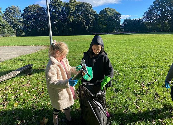 Grafika 4: Sprzątanie świata