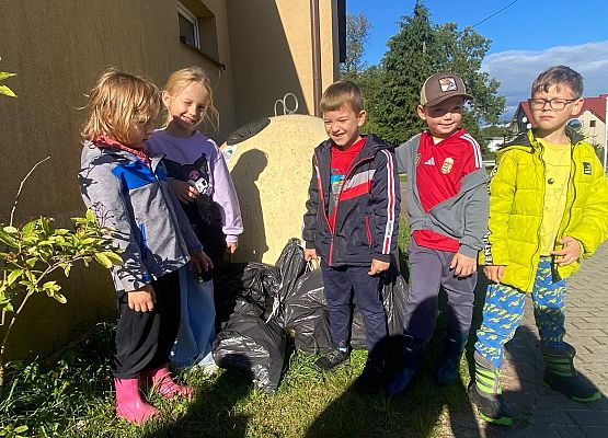 Grafika 10: Sprzątanie świata