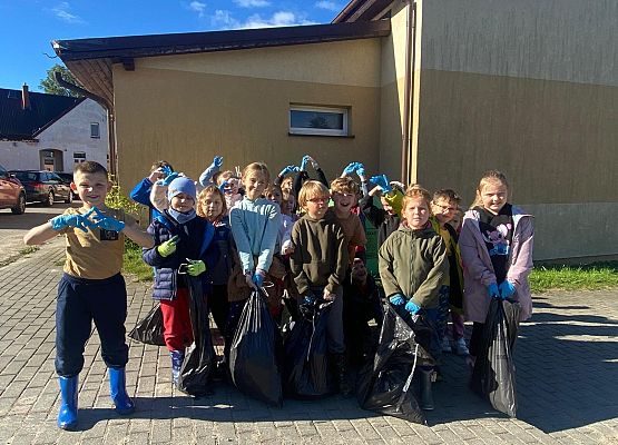 Grafika 12: Sprzątanie świata