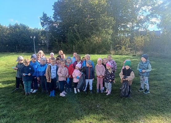 Grafika 15: Sprzątanie świata