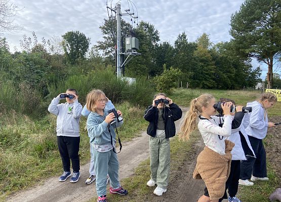 Grafika 1: Przyroda wokół nas