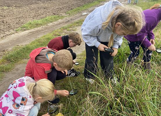 Grafika 5: Przyroda wokół nas