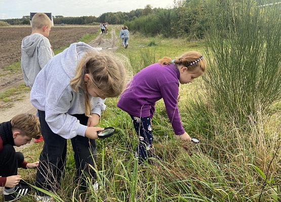 Grafika 10: Przyroda wokół nas