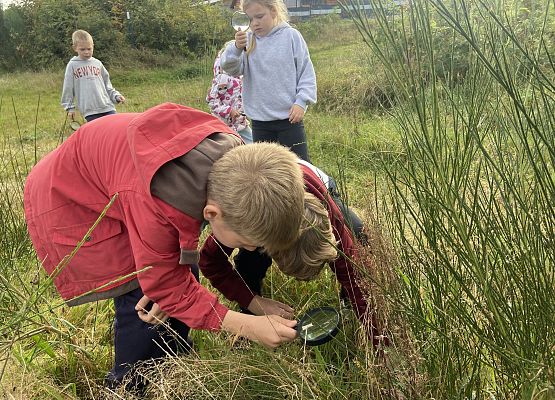 Grafika 6: Przyroda wokół nas