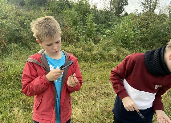 Grafika 8: Przyroda wokół nas