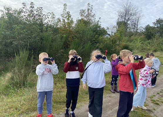 Grafika 11: Przyroda wokół nas