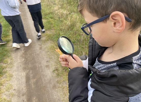 Grafika 14: Przyroda wokół nas