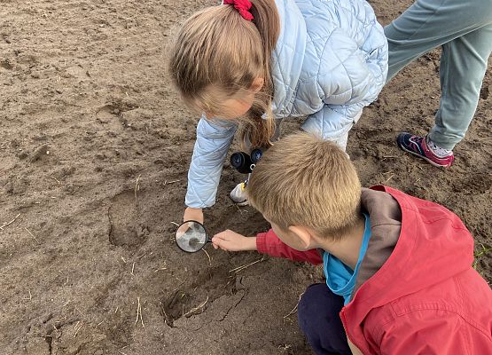 Grafika 15: Przyroda wokół nas