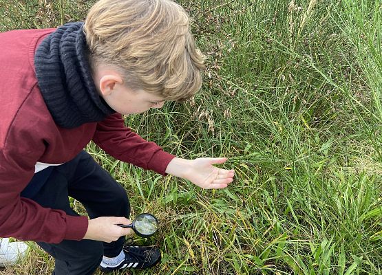 Grafika 16: Przyroda wokół nas