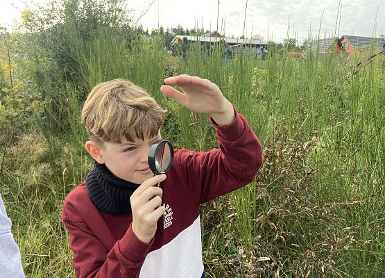 Grafika 17: Przyroda wokół nas