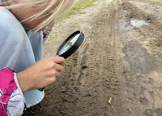 Grafika 19: Przyroda wokół nas