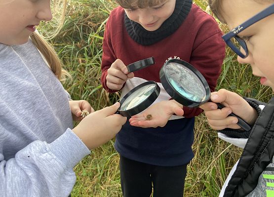 Grafika 20: Przyroda wokół nas