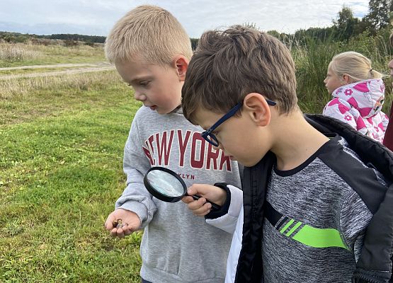 Grafika 23: Przyroda wokół nas