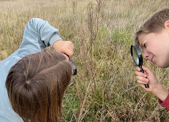 Grafika 26: Przyroda wokół nas