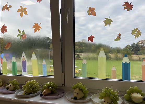 Grafika 13: Owocowe jeżyki w klasie II